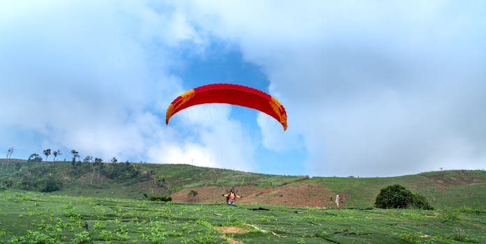 image_1765056157_1